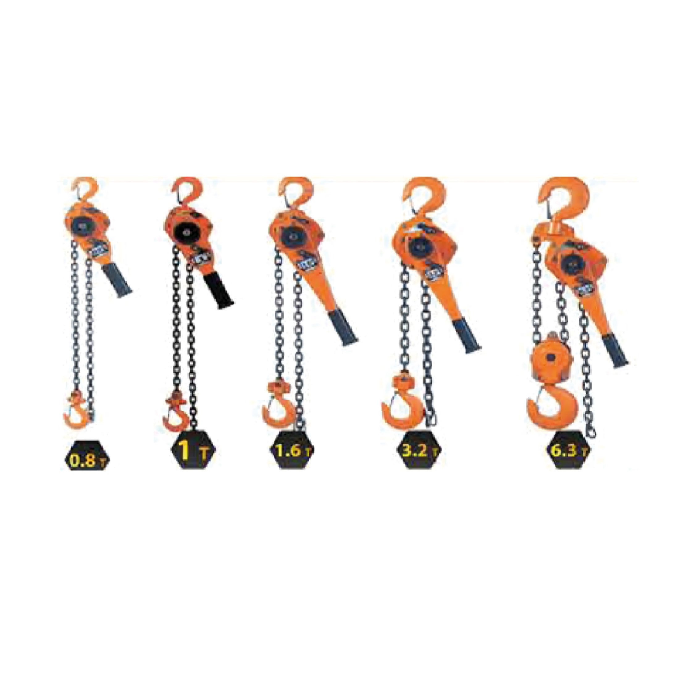  TECLES RATCHET VITAL 02